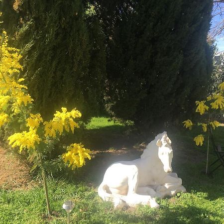 B&B Mas Les Lecques Beaucaire  Exterior foto
